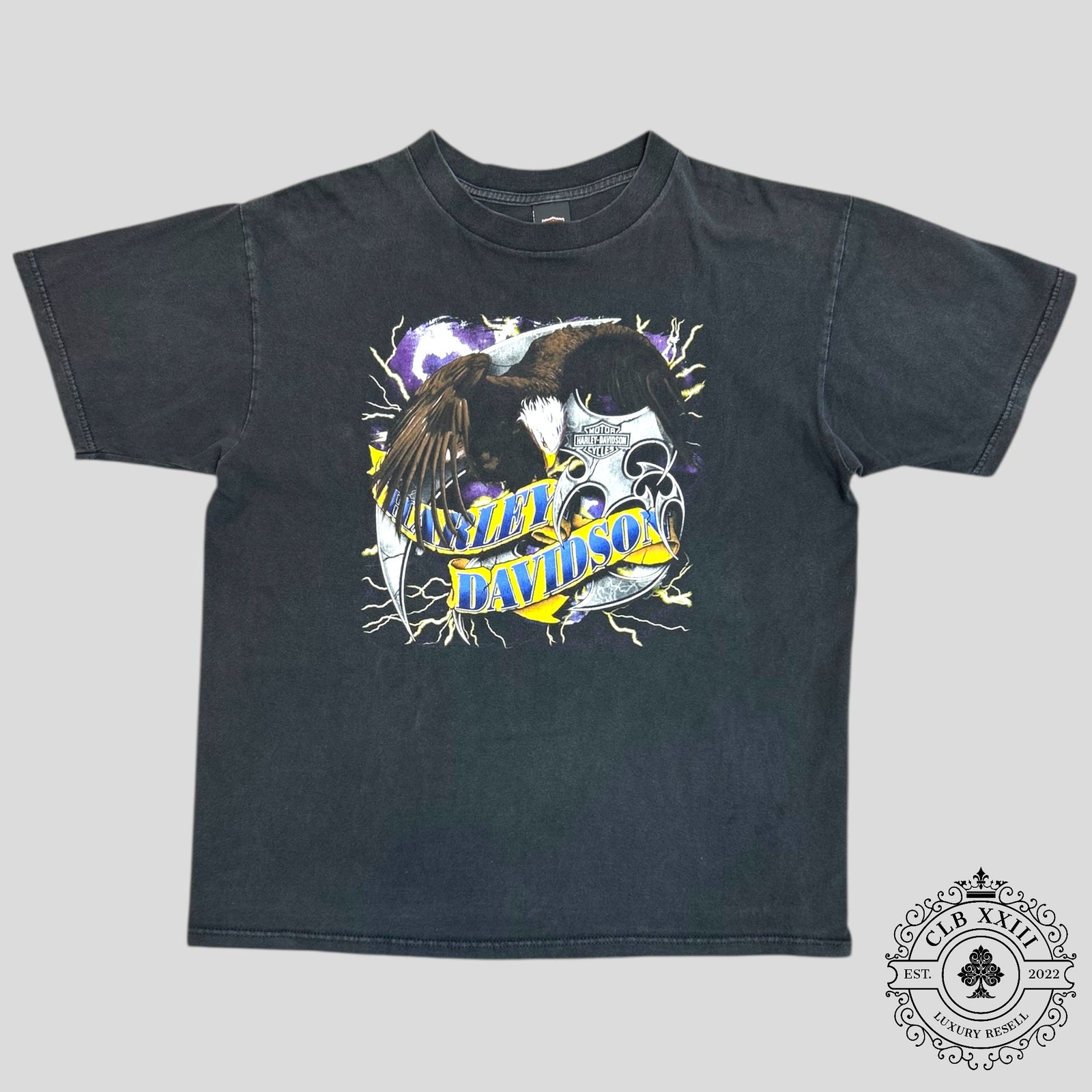 Harley Davidson Eagle Vintage Tee in Black