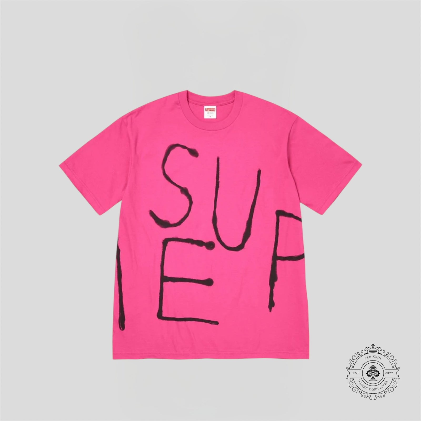 Supreme Painted T-Shirt in Pink