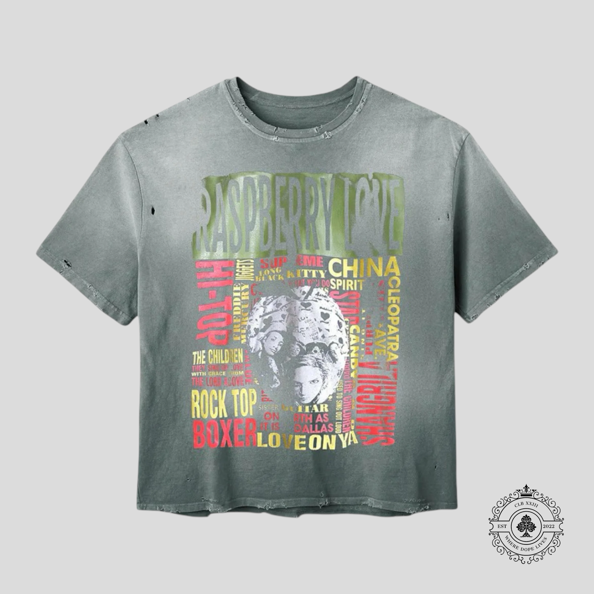 GV Gallery Raspberry Hills Mother Tee in Green