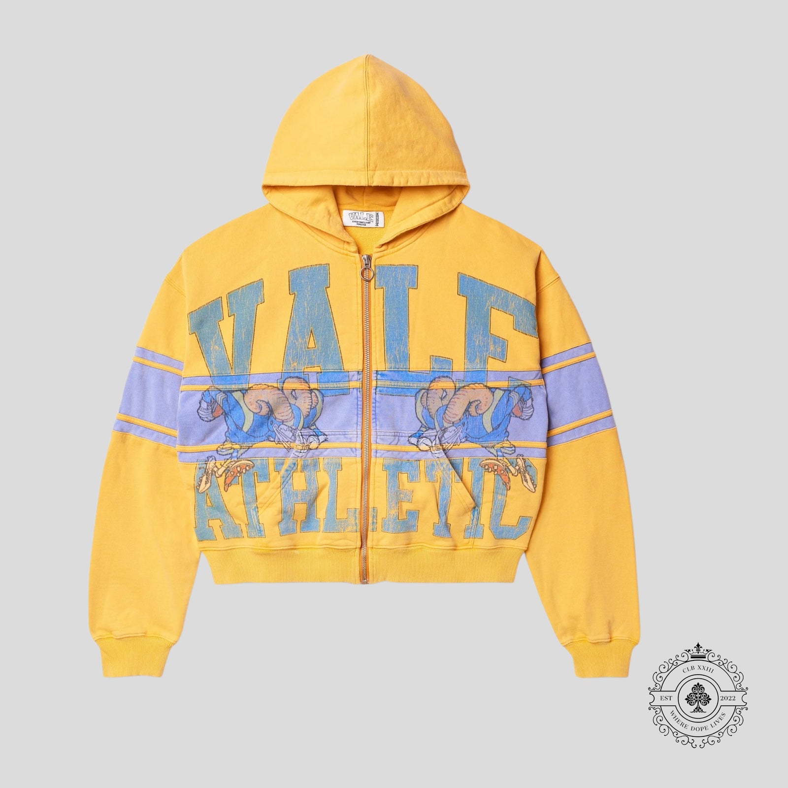 Vale Big Horn Zip up Hoodie in Yellow