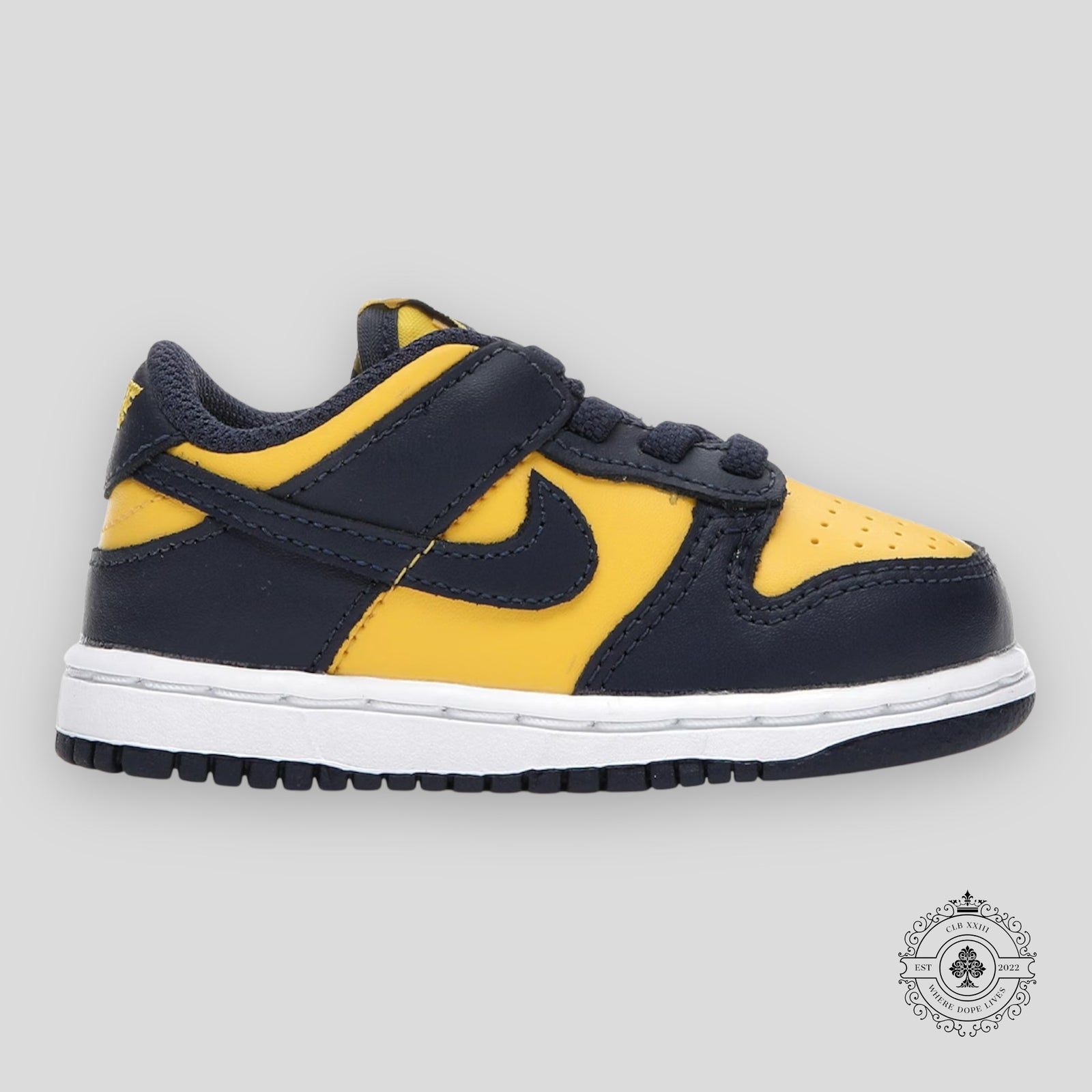 Nike Dunk Low Michigan 2021 TD