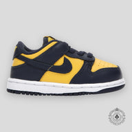 Nike Dunk Low Michigan 2021 TD
