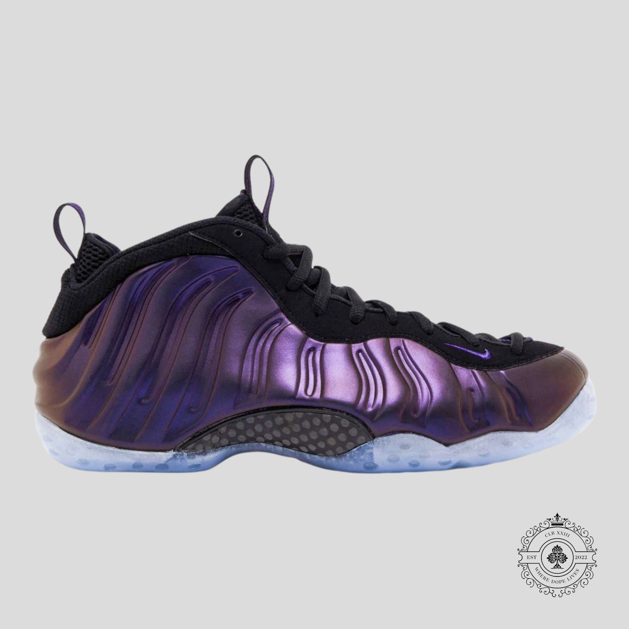 Nike Air Foamposite One Eggplant (2024)
