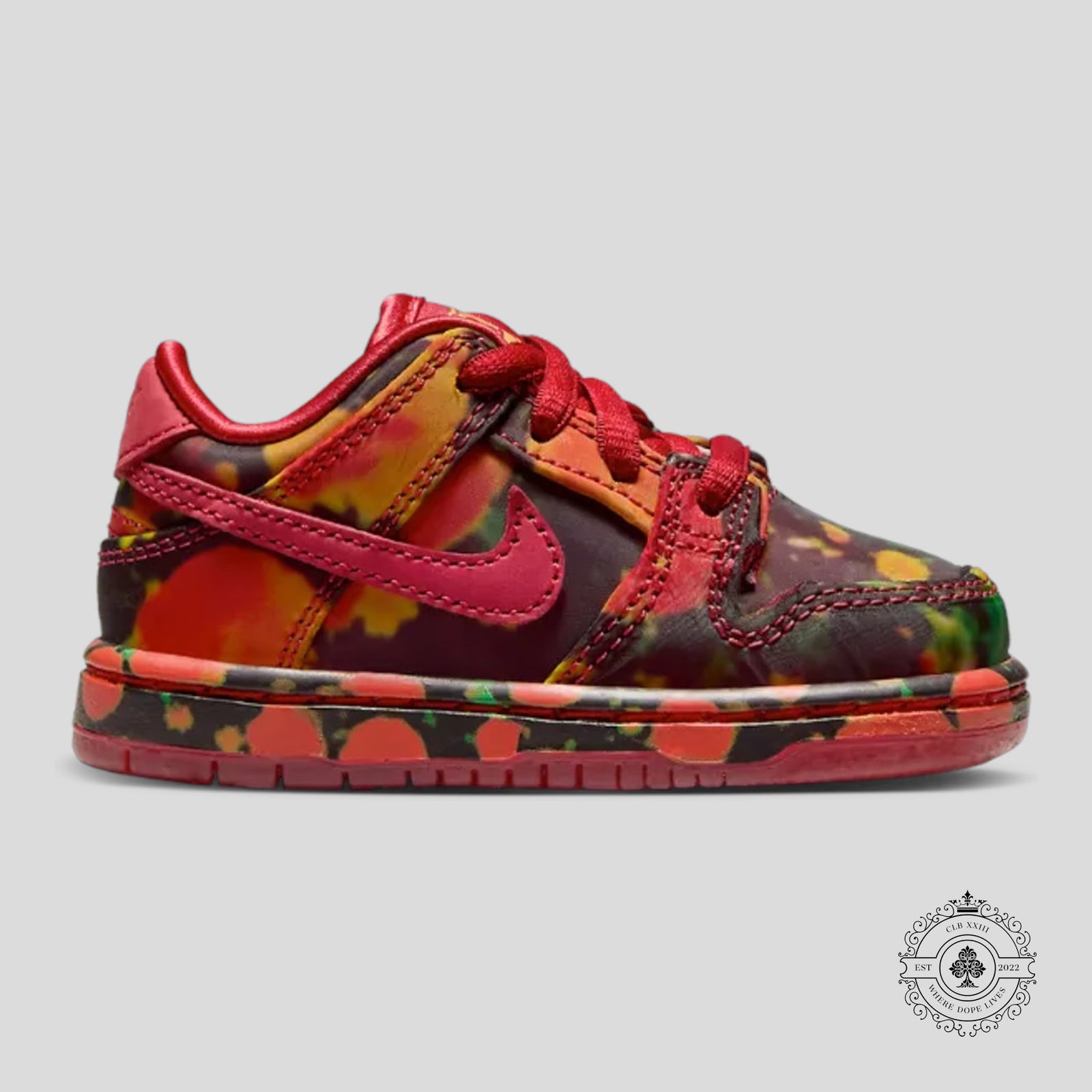 Nike Dunk SB Wizard of Oz Poppy Field TD