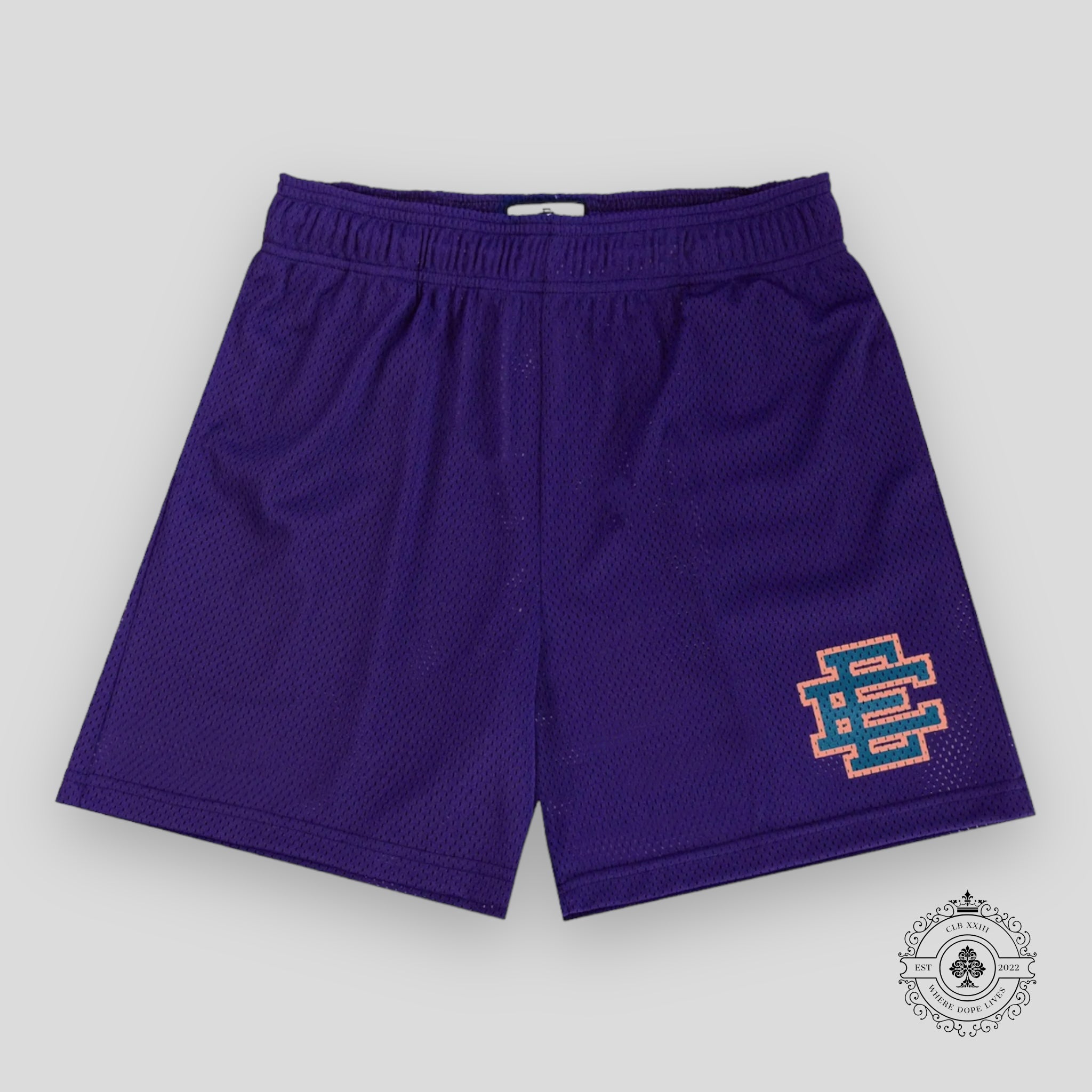 Eric Emanuel EE Shorts in Purple/Dark Blue