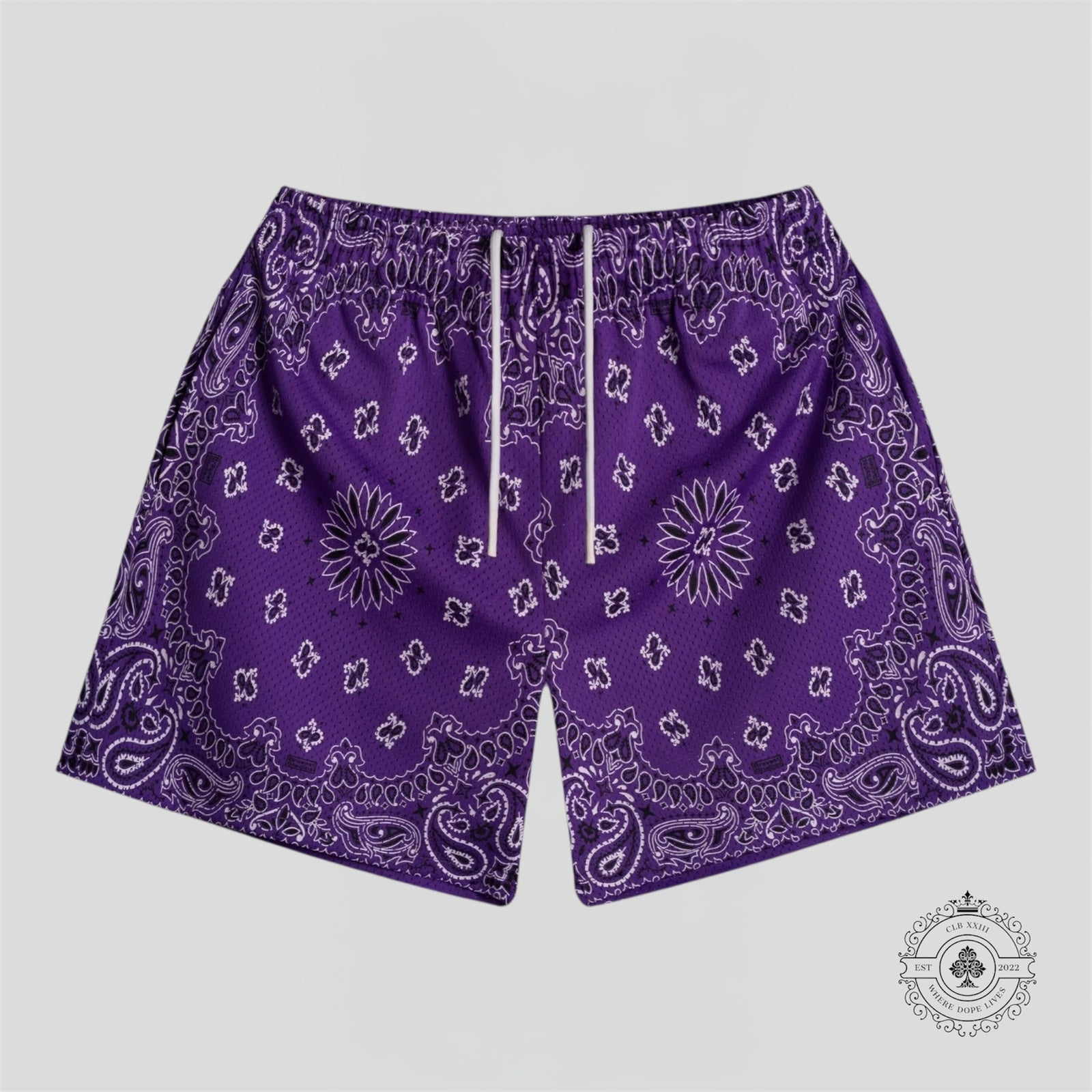Bravest Studios Paisley Shorts in Purple