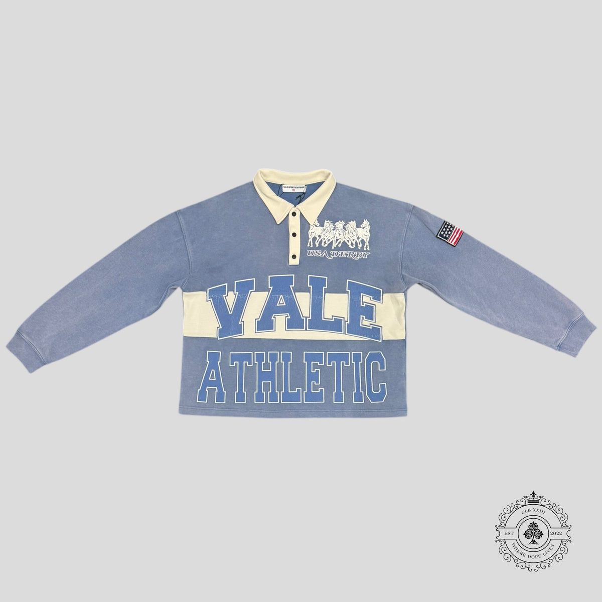 Vale Blue Derby Rugby Polo