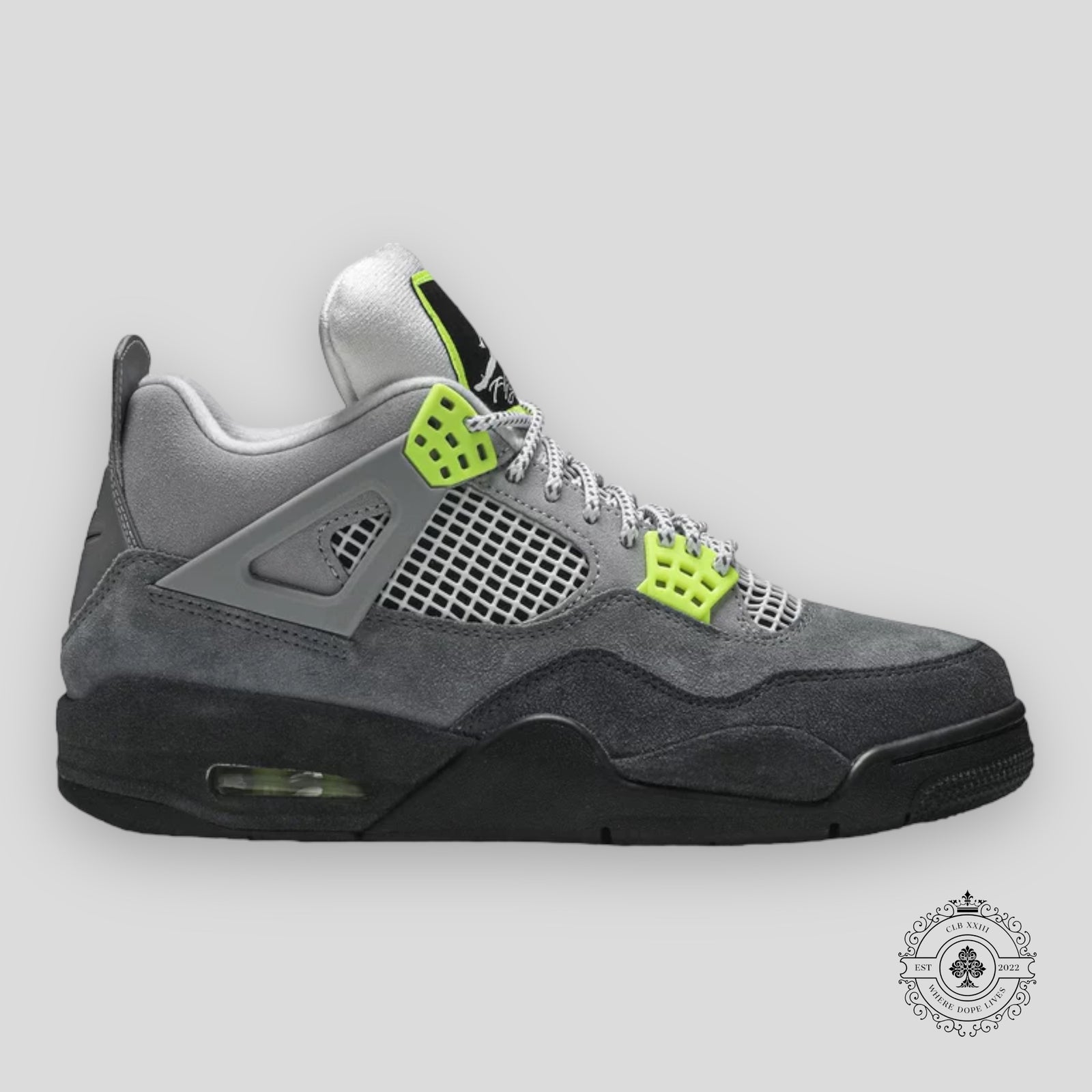 Air Jordan 4 Retro SE 95 Neon