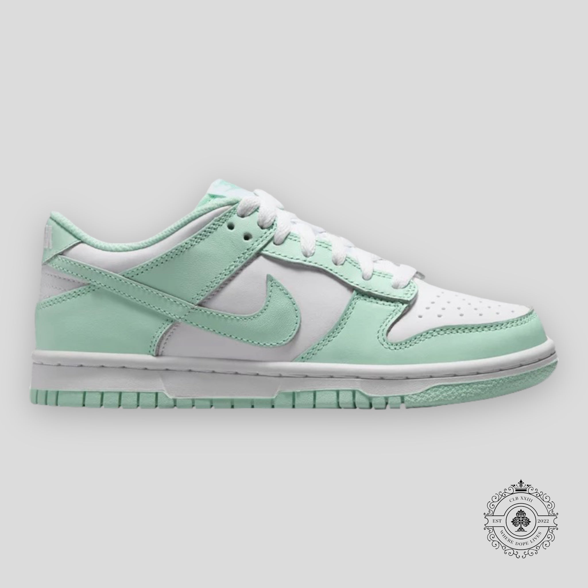 Nike Dunk Low GS "Mint Foam"