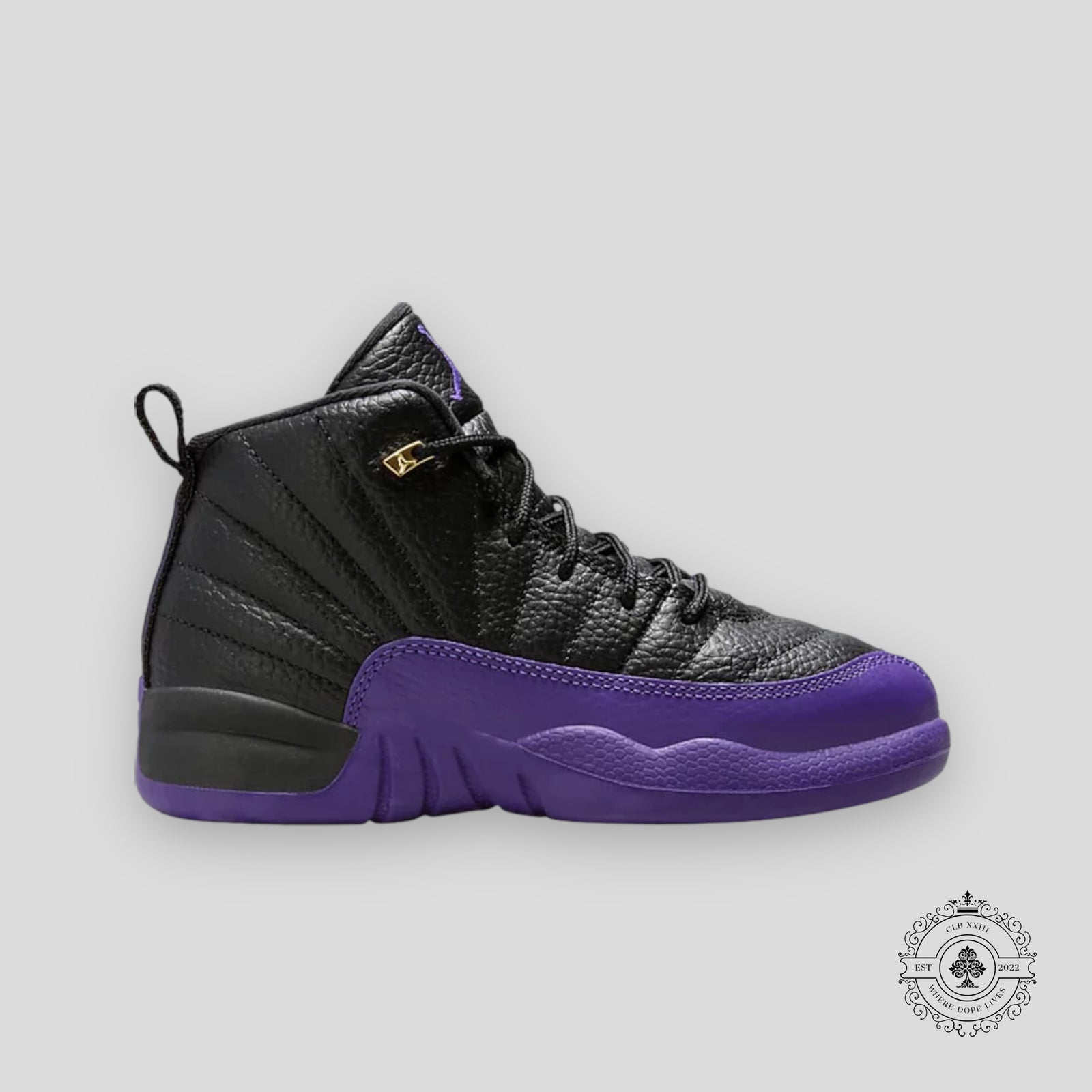 Air Jordan 12 Retro PS Field Purple
