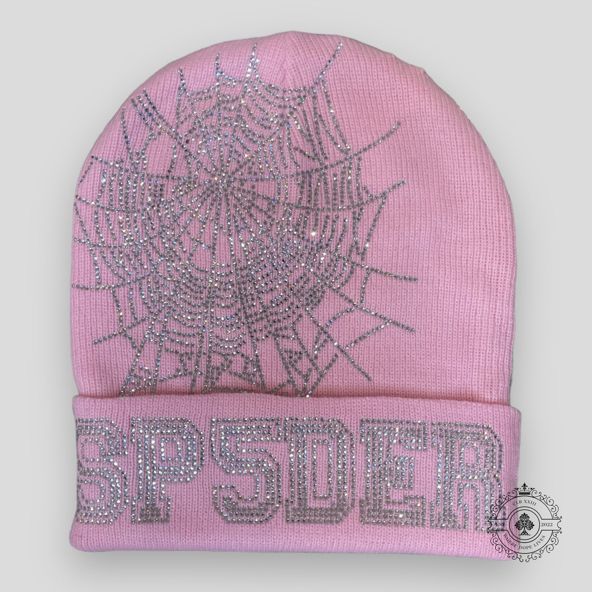 Sp5der Web Beanie in Pink