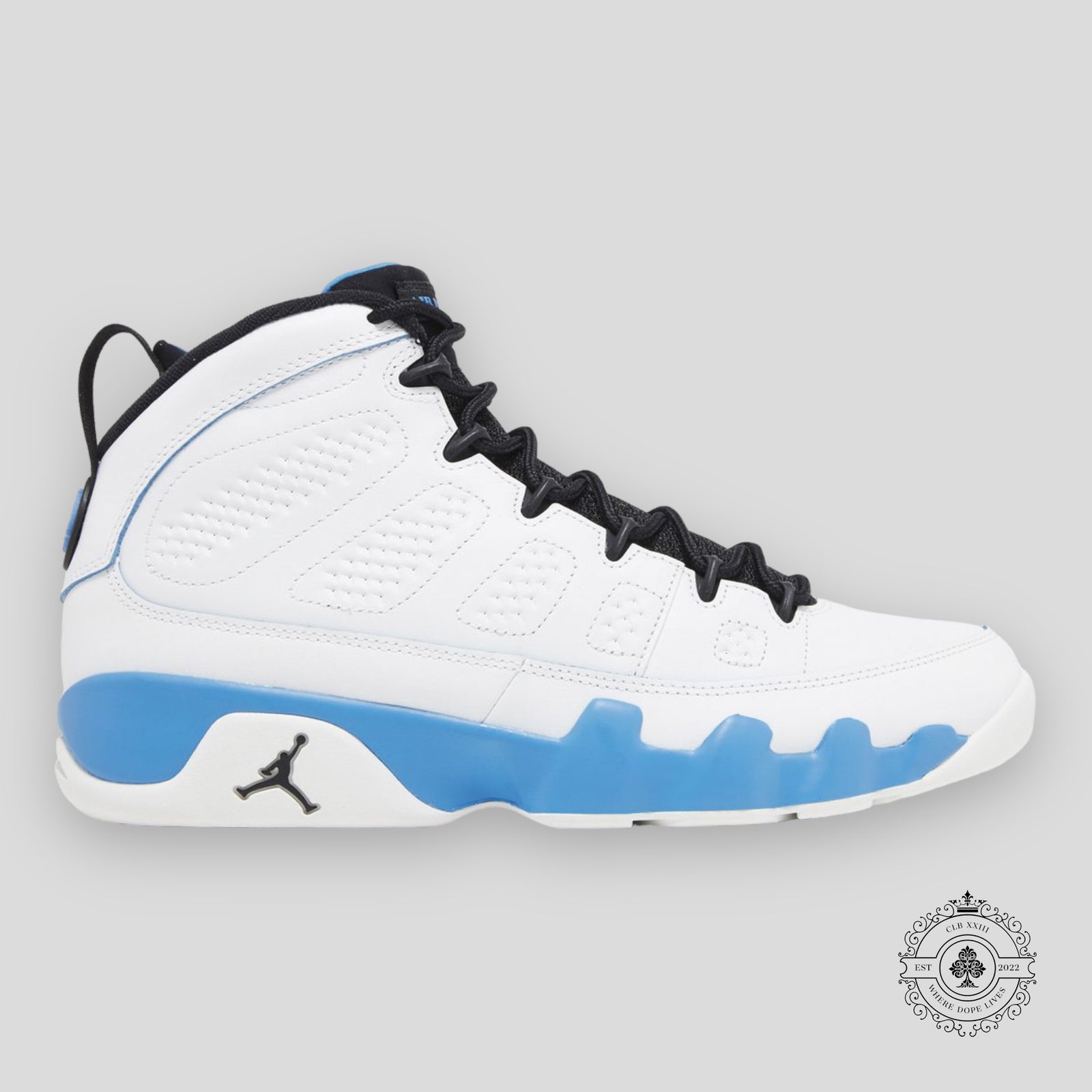Air Jordan 9 Retro Powder Blue 2024
