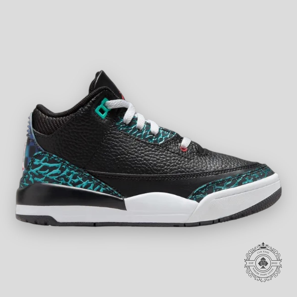Air Jordan 3 Retro PS Moto