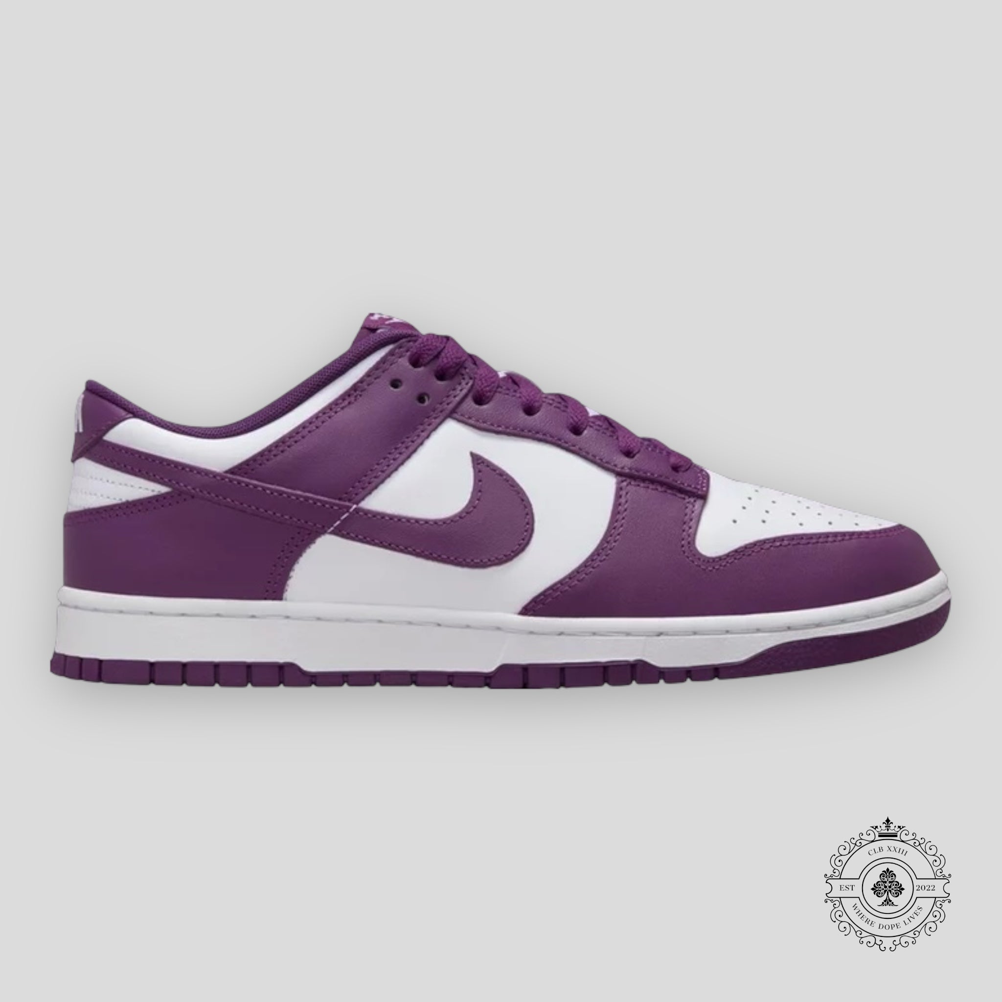 Nike Dunk Low White Viotech