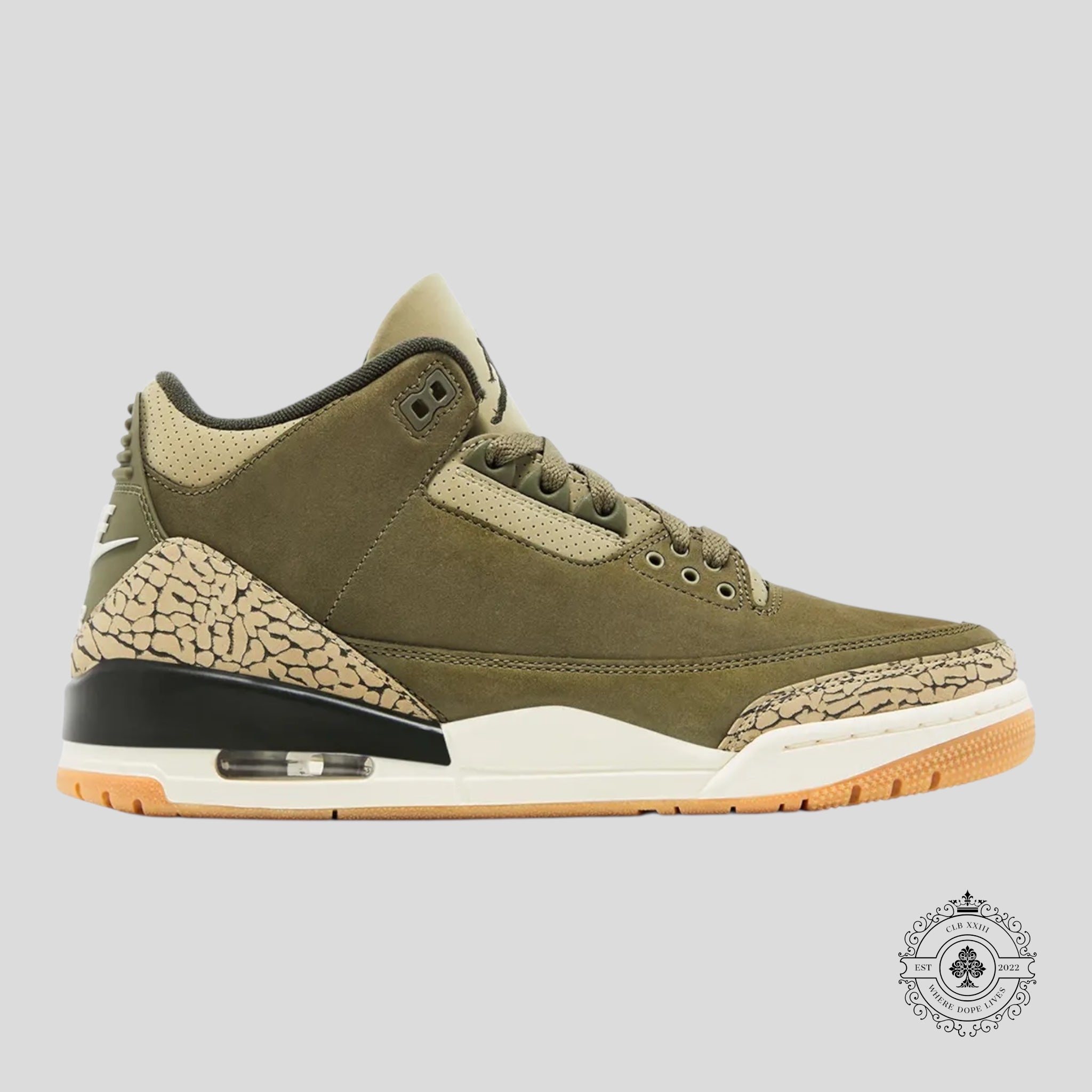 Air Jordan 3 Retro Family Affair