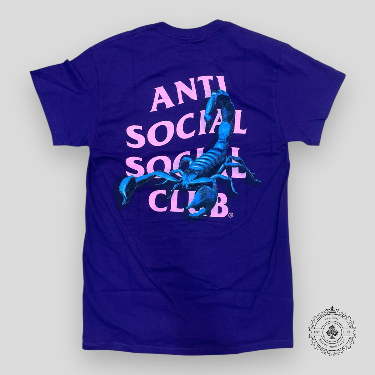 Anti Social Social Club Moodsting Tee in Purple