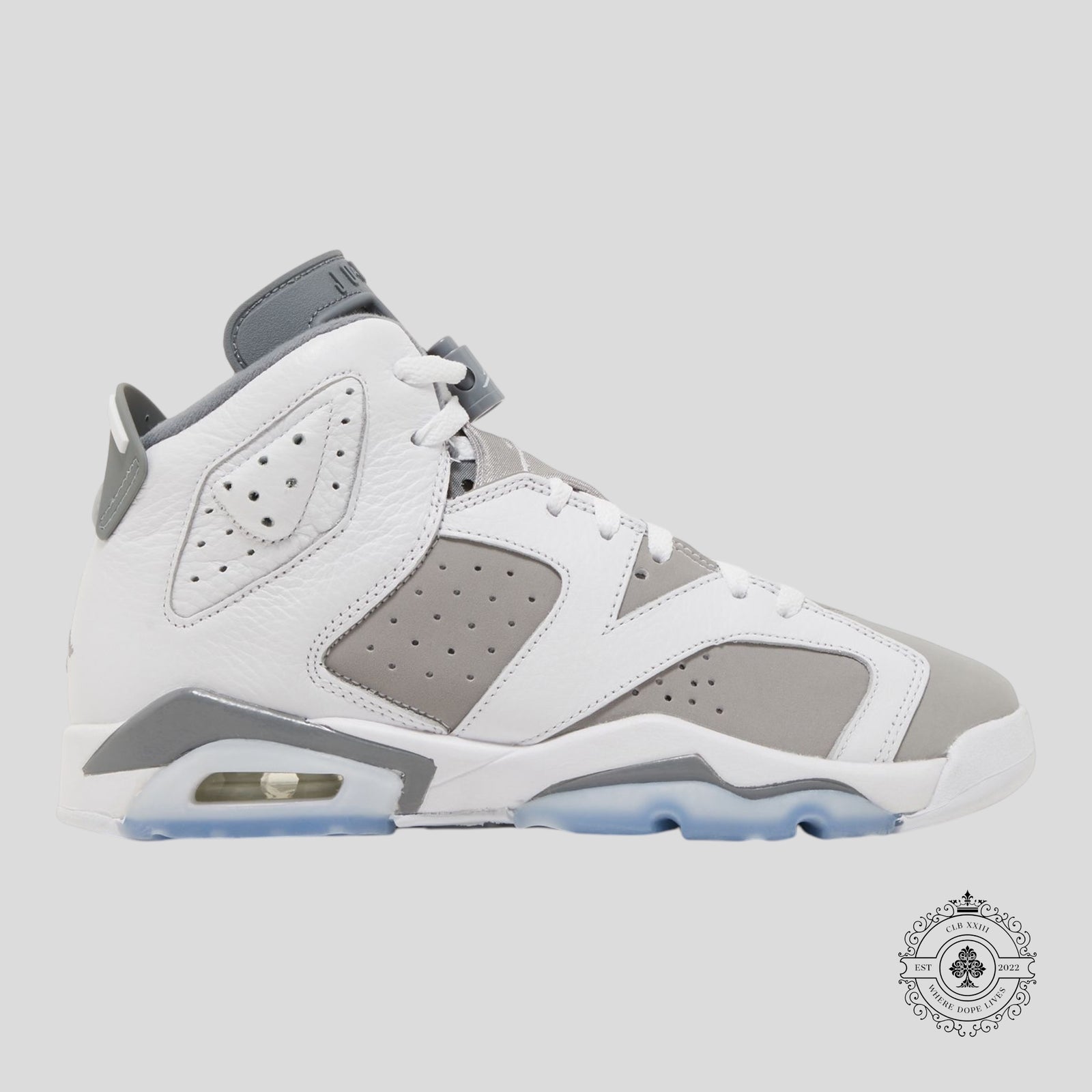 Air Jordan 6 Retro GS Cool Grey