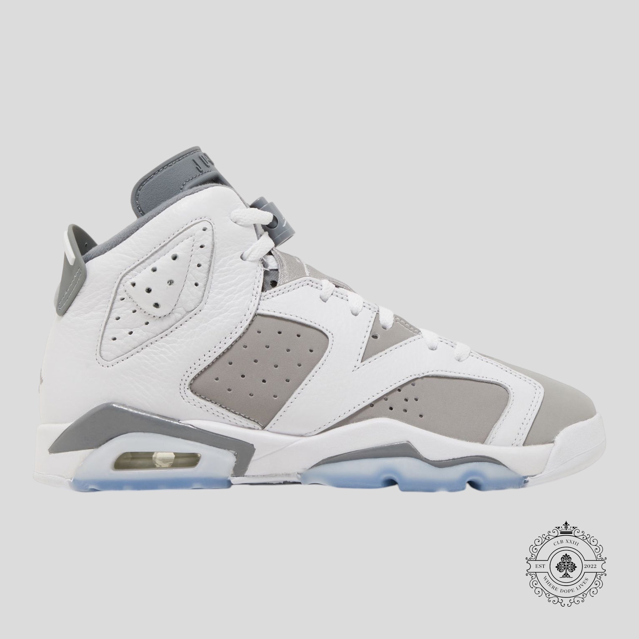 Air Jordan 6 Retro GS Cool Grey