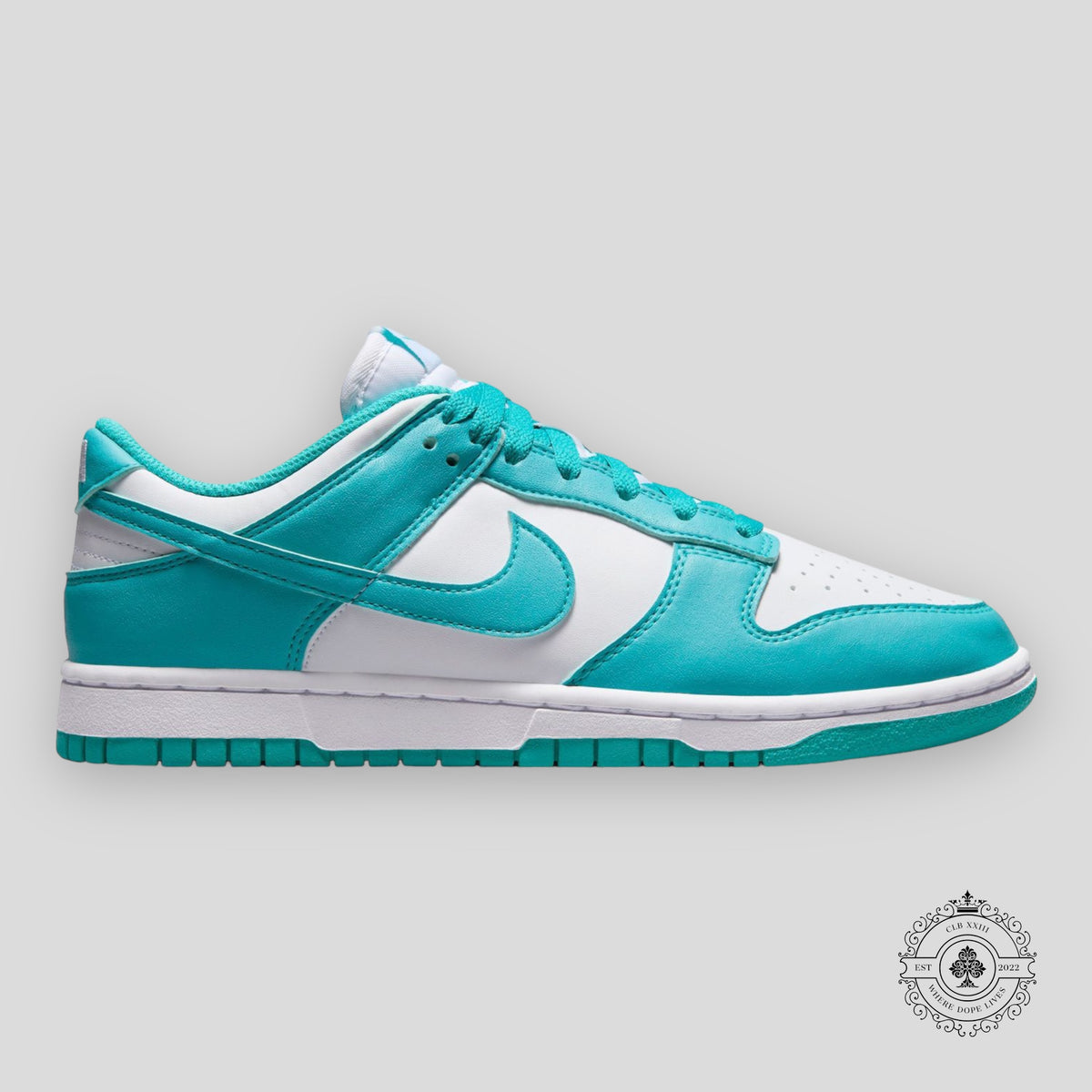 Nike Dunk Low Next Nature W “Dusty Cactus”