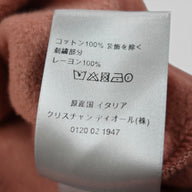 Dior CD Icon Pullover Hoodie in Metal Pink