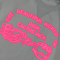 Dior X Cactus Jack Crewneck in Green / Pink
