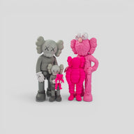 Kaws Family Vinyl Figures in Grey