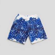 Louis Vuitton Bandana Swim Shorts in Blue