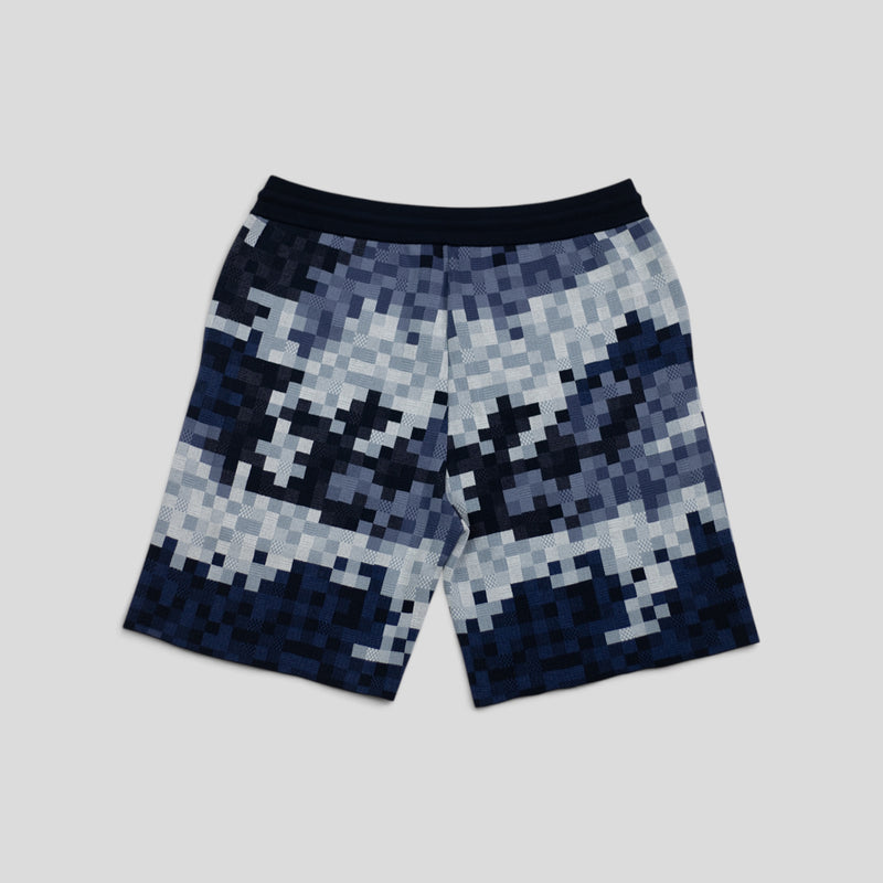 Louis Vuitton Hybrid Damoflage Shorts in Blue