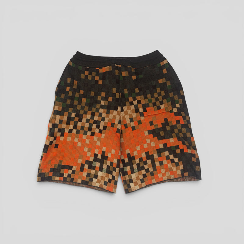 Louis Vuitton Damoflage Jacquard Shorts in Orange/Multicolor
