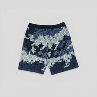 Louis Vuitton Hybrid Damoflage Shorts in Blue