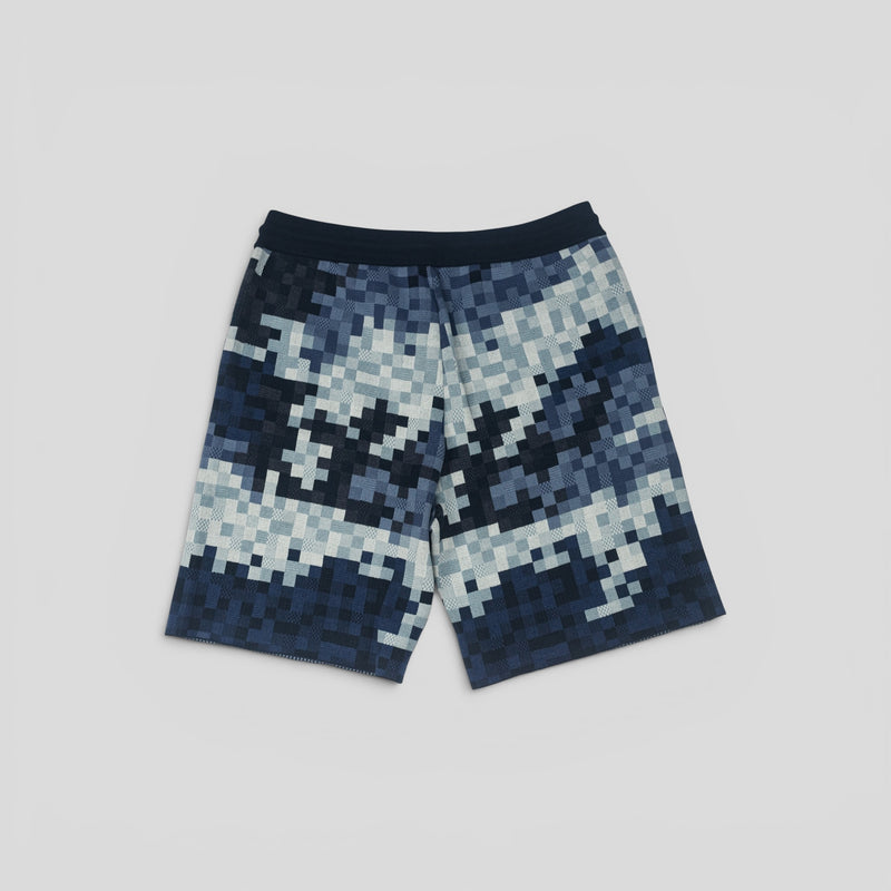 Louis Vuitton Hybrid Damoflage Shorts in Blue