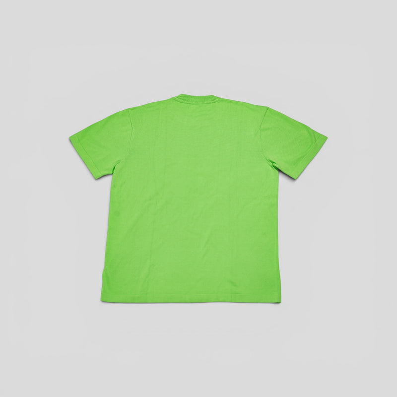 Louis Vuitton Signature Short Sleeve Crewneck Knitwear in Light Green