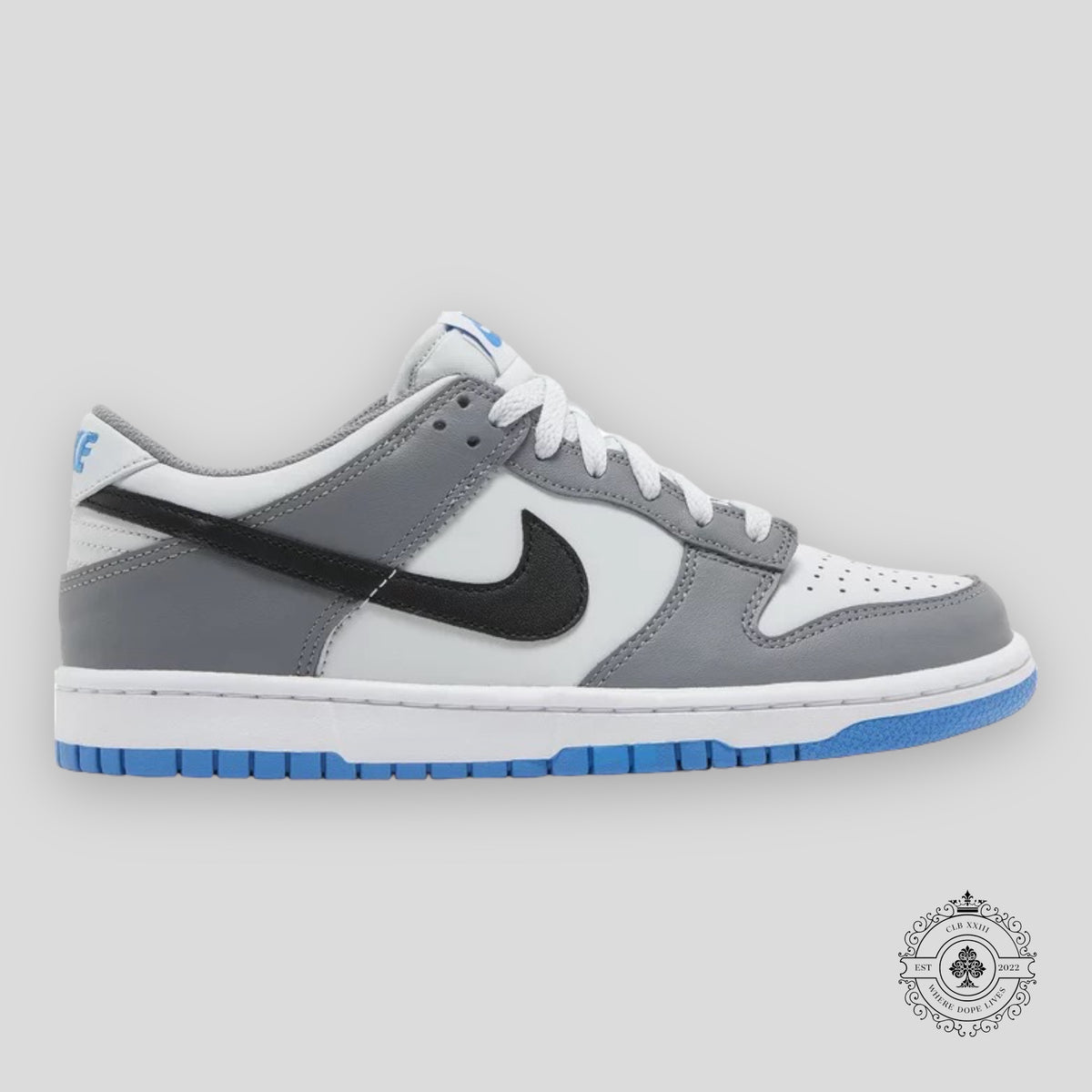 NIKE DUNK LOW GS “COOL GREY PHOTO BLUE”