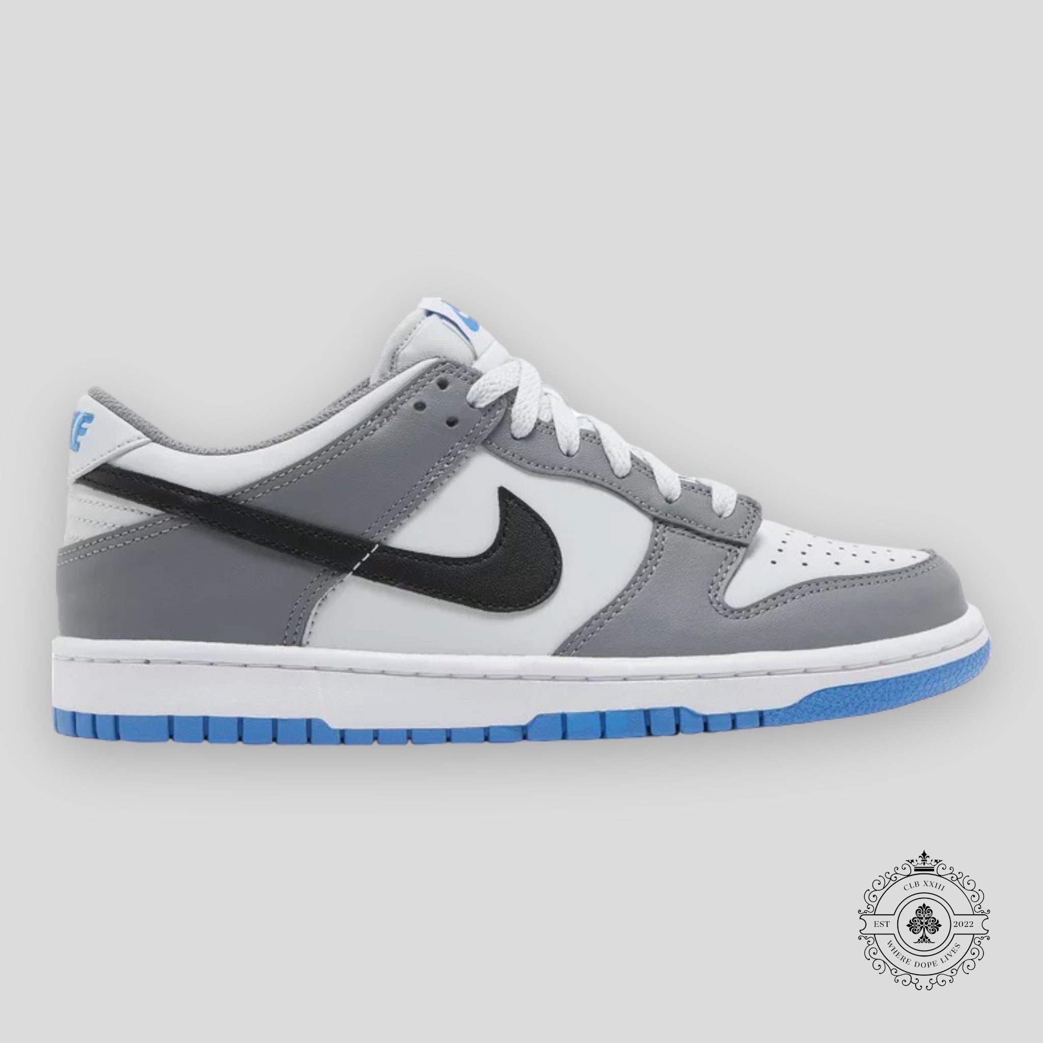 NIKE DUNK LOW GS “COOL GREY PHOTO BLUE”