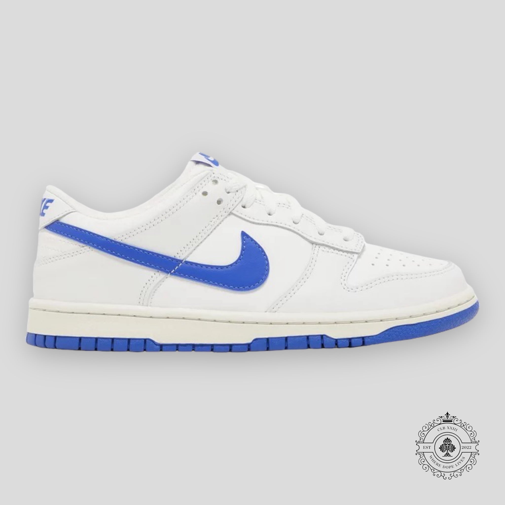 NIKE DUNK LOW GS SUMMIT WHITE HYPER ROYAL