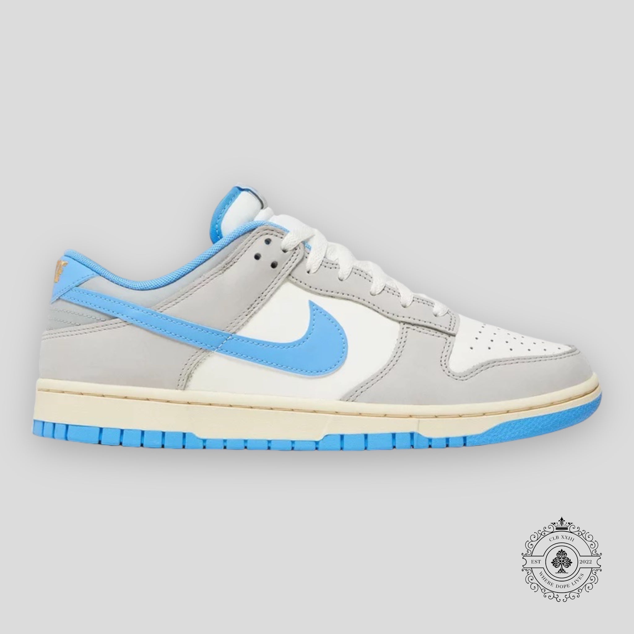 Nike Dunk Low Athletic Department University Blue