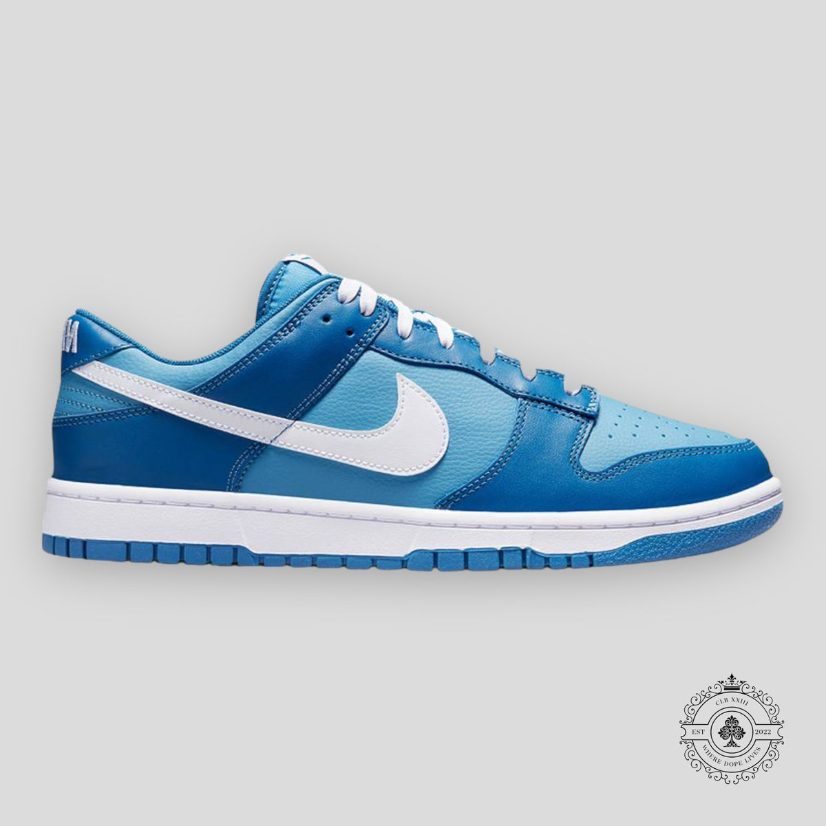 Nike Dunk Low GS “Dark Marina Blue”