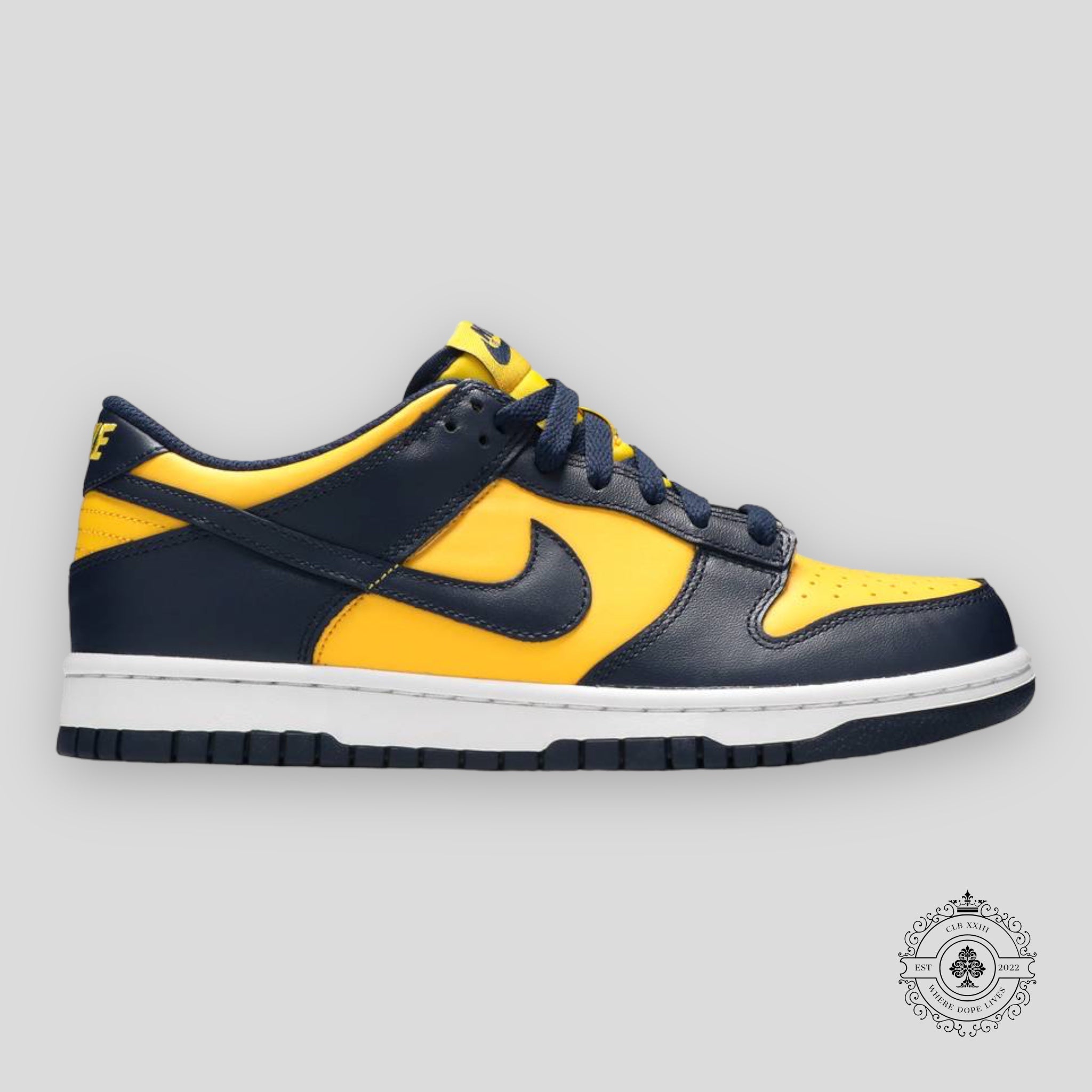 Nike Dunk Low GS “Michigan”