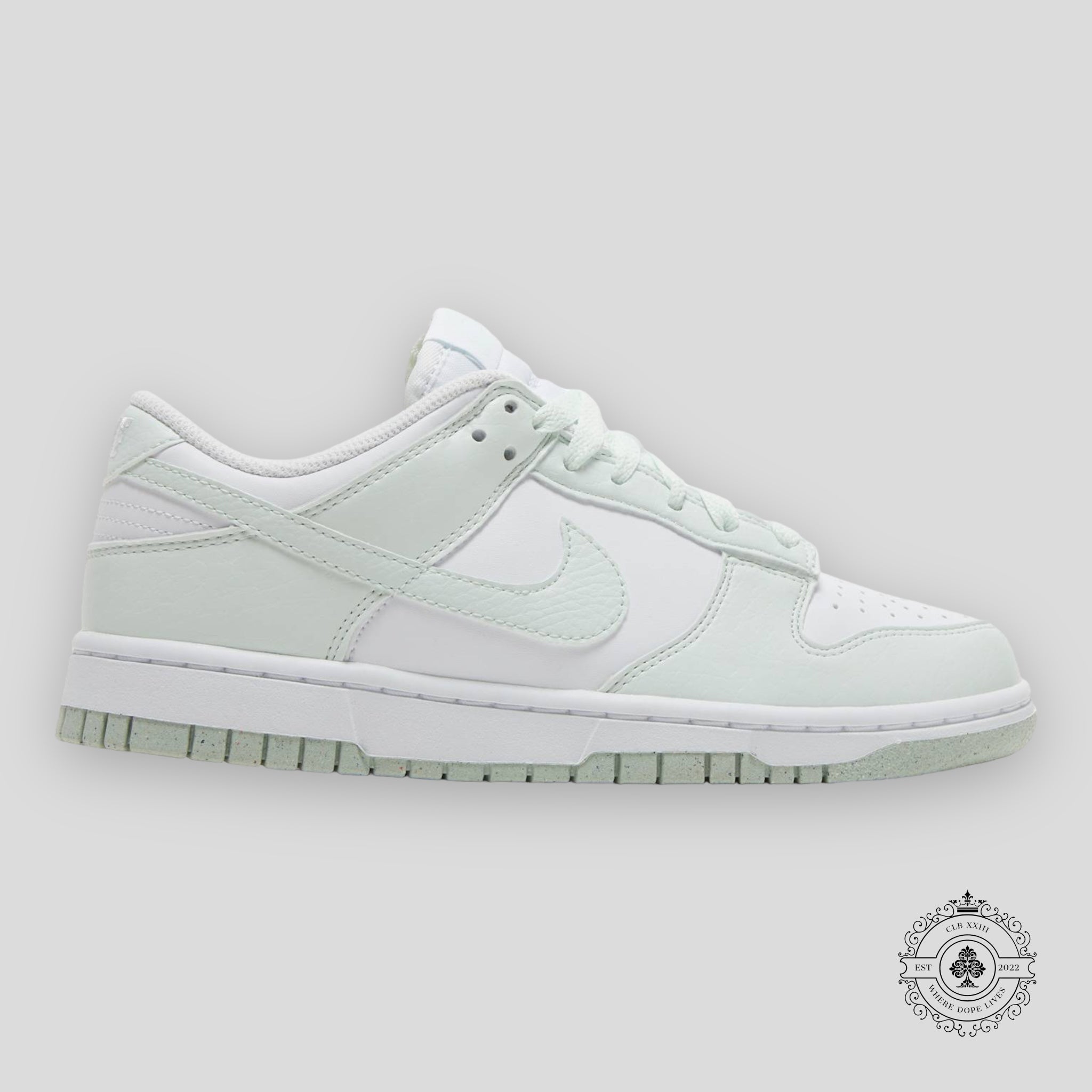 Nike Dunk Low Next Nature W White Mint
