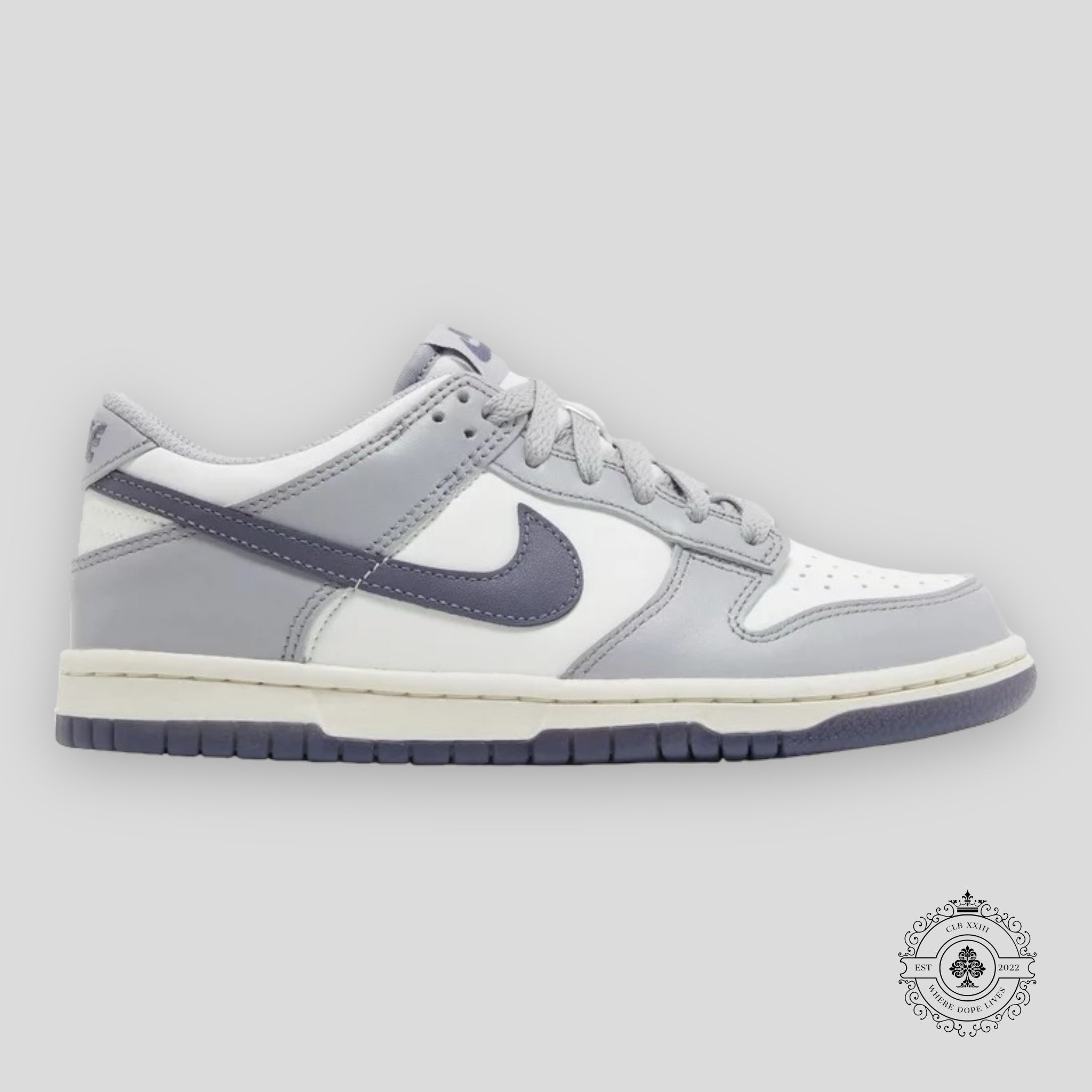 Nike Dunk Low (GS) “Platinum Tint Light Carbon”