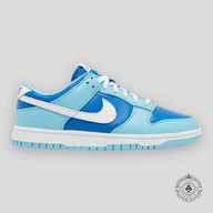 Nike Dunk Low Retro Argon