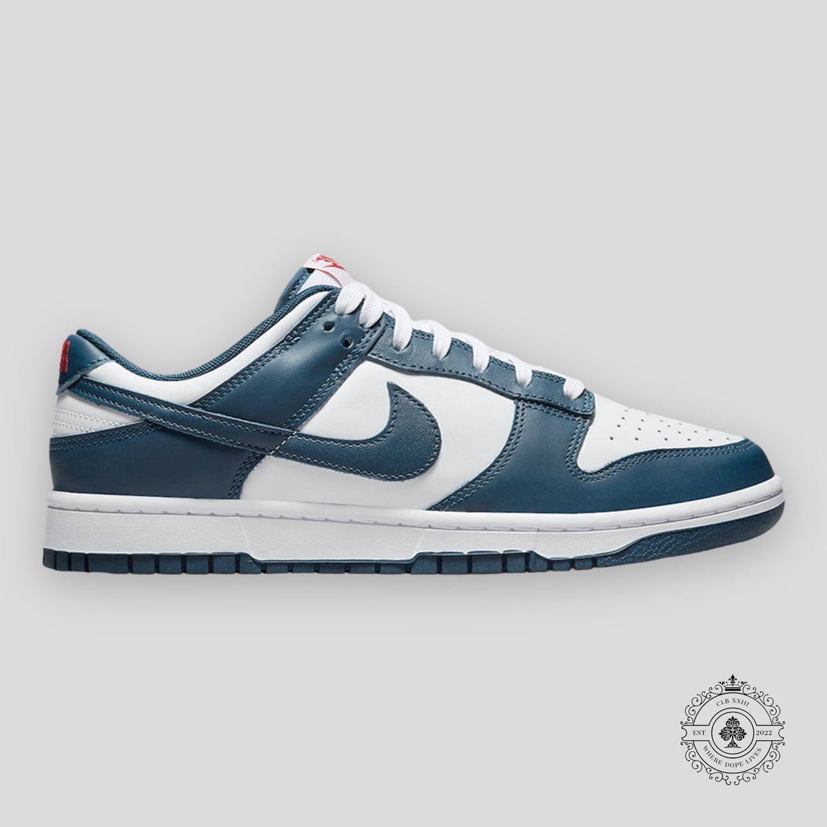 Nike Dunk Low "Valerian Blue"