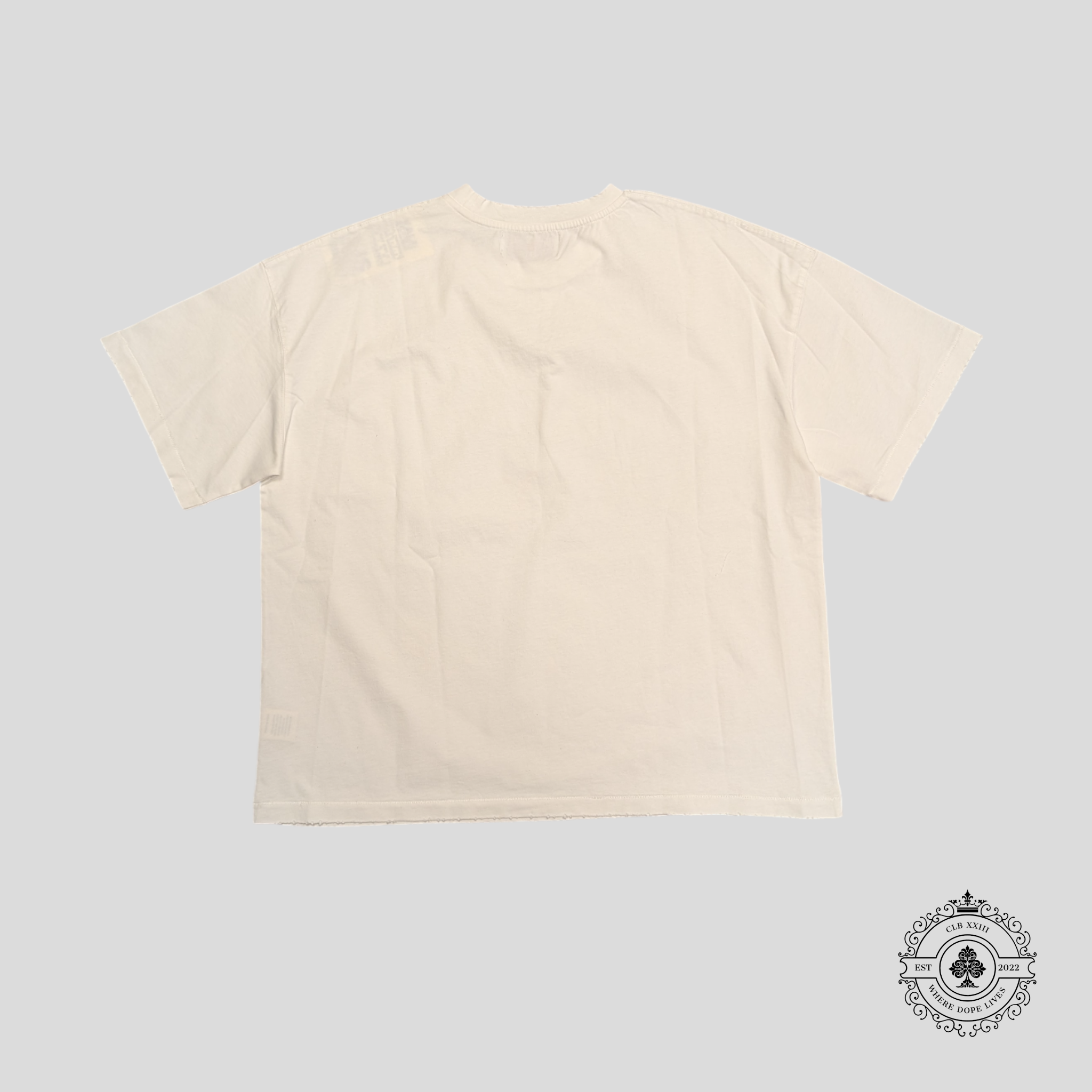 Vale Lives In Glory Tee in White