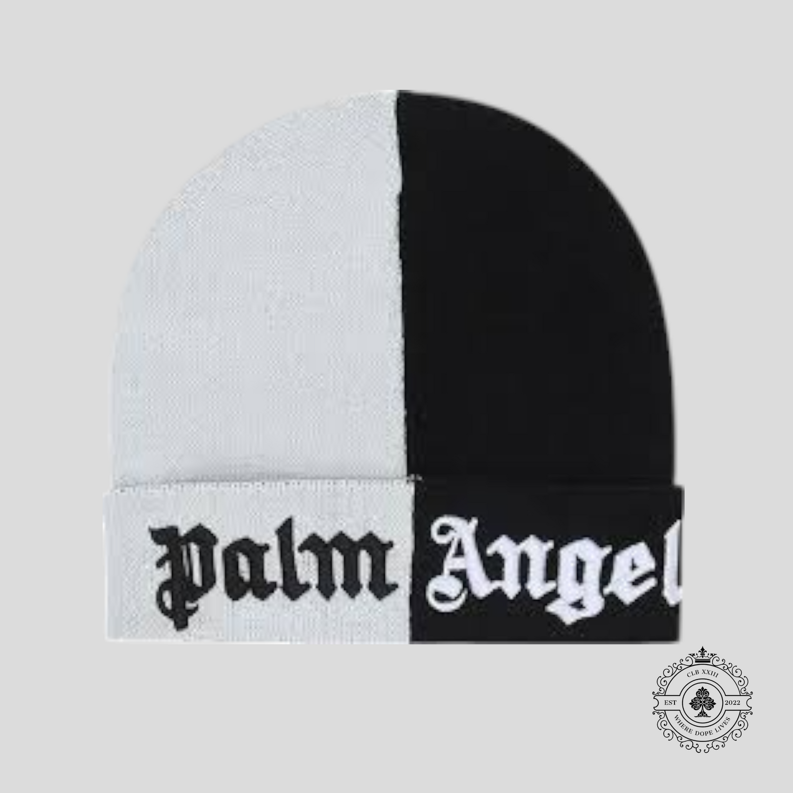 Palm Angels Colorblock Beanie in Black/White