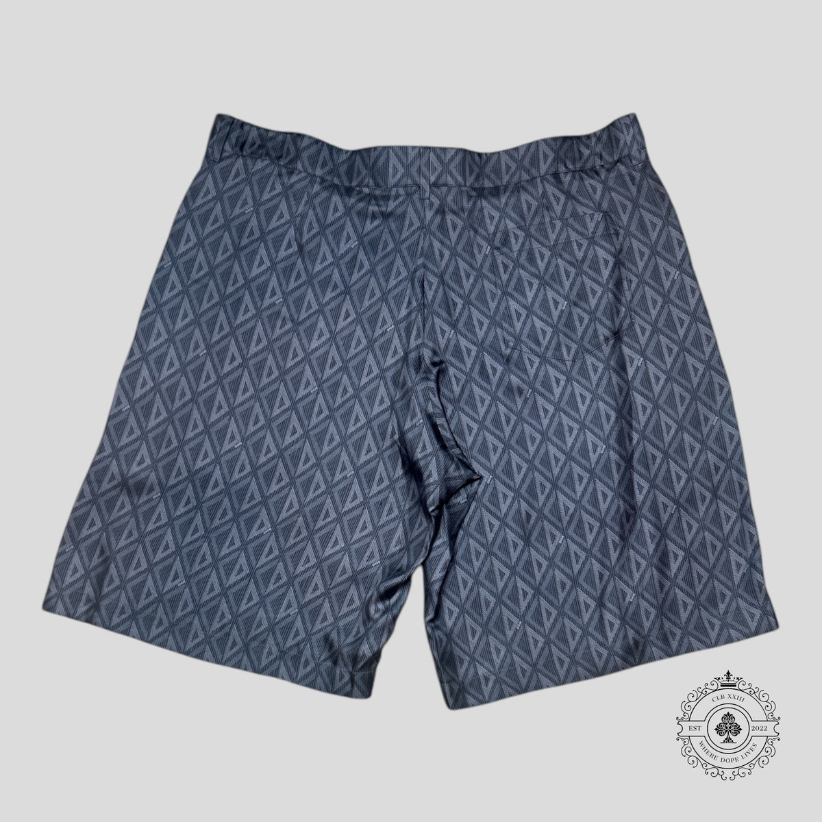 Dior CD Icon Silk Shorts in Grey