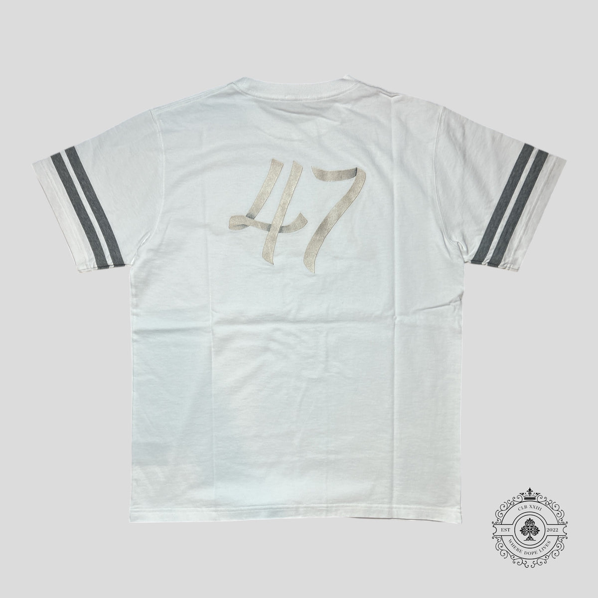 Dior Metallic Ribbon Logo Striped Sleeve T-shirt in White/Grey