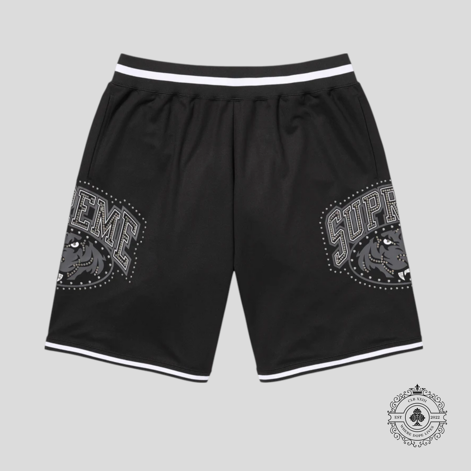Supreme Studded Basketball Shorts in Black