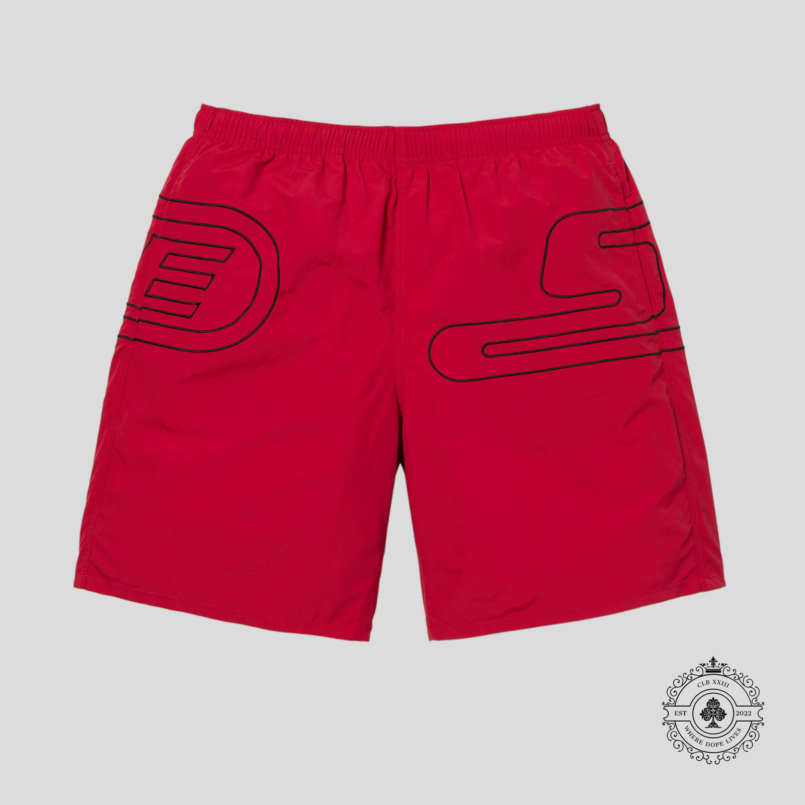 Supreme Big Logo Nylon Shorts in Red