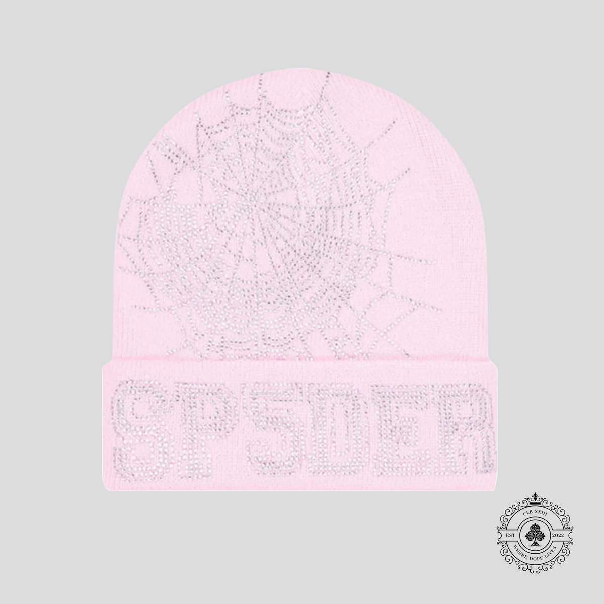 Sp5der Web Rhinestone Beanie in Pink - Preowned