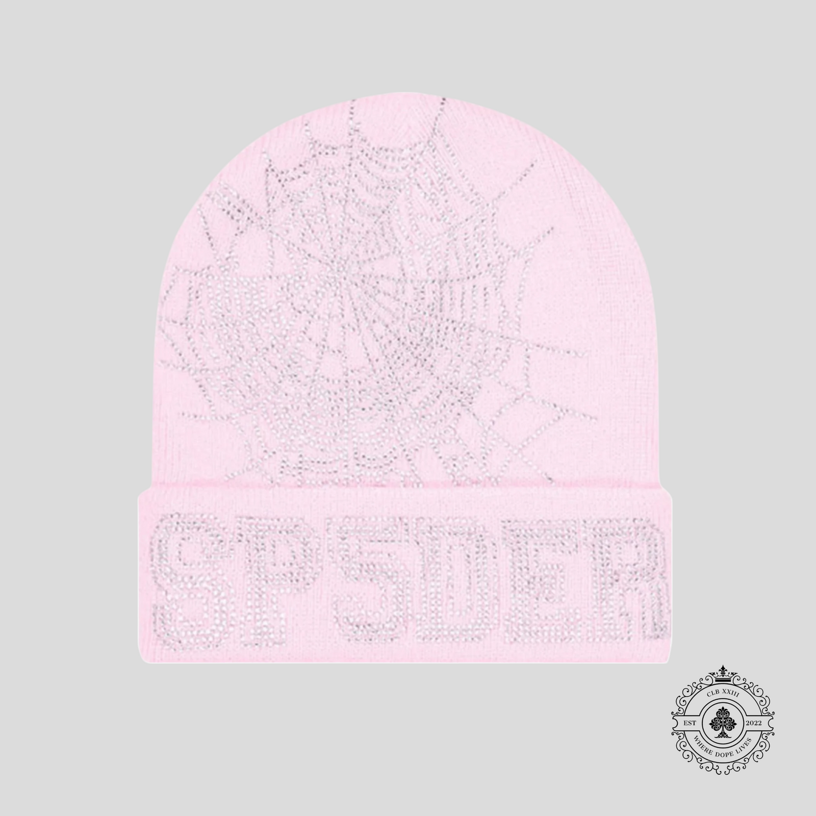 Sp5der Web Rhinestone Beanie in Pink - Preowned